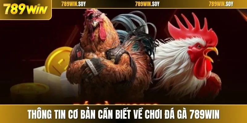 Thông tin cơ bản cần biết về chơi đá gà 789WIN