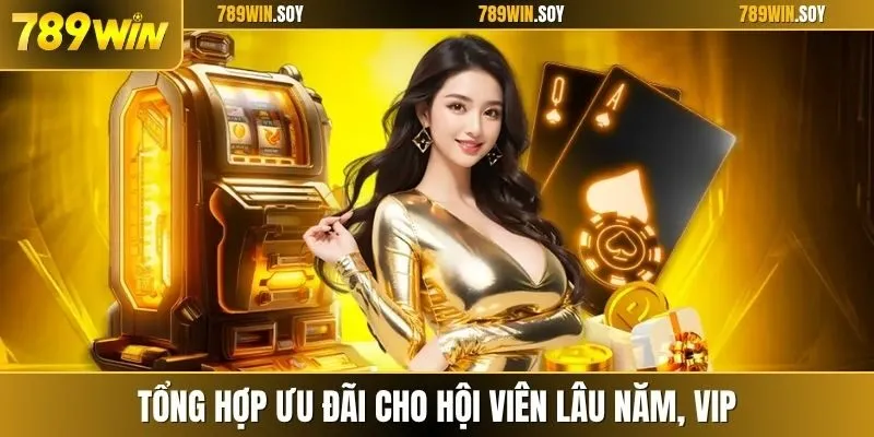 Tổng hợp ưu đãi cho hội viên lâu năm, VIP