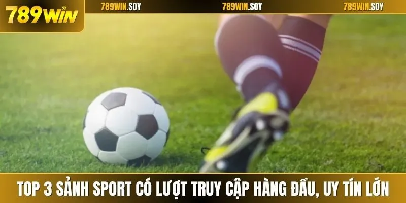 Top 3 sảnh sport có lượt truy cập hàng đầu, uy tín lớn